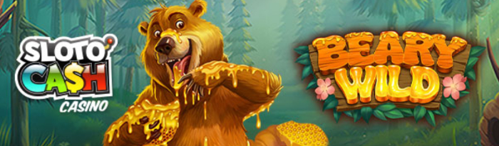 Free spins at SlotoCash casino on the Beary Wild slot